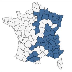 Répartition de Genista germanica L. en France