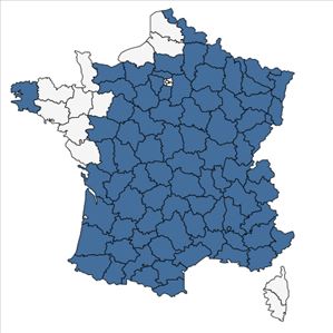 Répartition de Genista pilosa L. en France