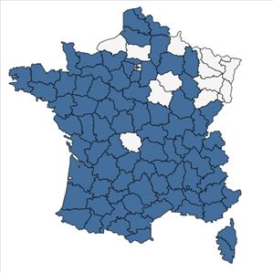 Répartition de Geranium lucidum L. en France