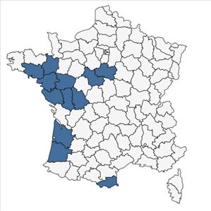 Répartition de Gladiolus gallaecicus Pau ex J.M.Tison & Ch.Girod en France