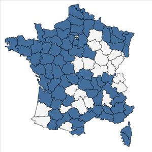 Répartition de Glebionis segetum (L.) Fourr. en France