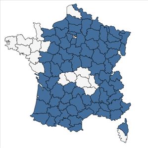 Répartition de Globularia bisnagarica L. en France