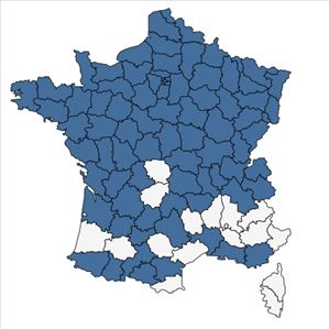 Répartition de Glyceria maxima (Hartm.) Holmb. en France