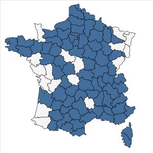 Répartition de Amaranthus albus L. en France