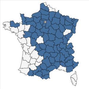 Répartition de Goodyera repens (L.) R.Br. en France