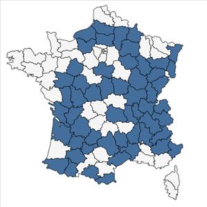 Répartition de Gymnadenia odoratissima (L.) Rich. en France