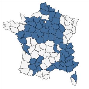 Répartition de Stachys germanica L. subsp. germanica en France