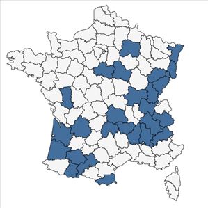 Répartition de Thymus pulegioides L. subsp. pulegioides en France