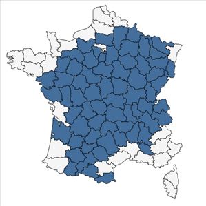 Répartition de Gypsophila muralis L. en France