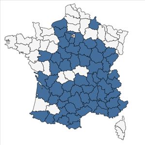 Répartition de Helianthemum apenninum (L.) Mill. en France