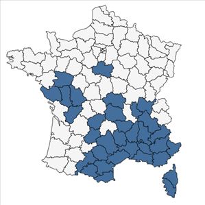 Répartition de Helianthemum salicifolium (L.) Mill. en France