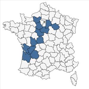 Répartition de Odontites jaubertianus (Boreau) D.Dietr. ex Walp. var. jaubertianus en France