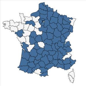 Répartition de Helianthus tuberosus L. en France