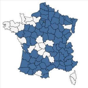 Répartition de Tulipa sylvestris L. subsp. sylvestris en France