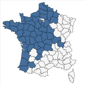 Répartition de Helosciadium inundatum (L.) W.D.J.Koch en France