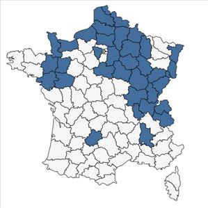 Répartition de Calamagrostis canescens (Weber) Roth subsp. canescens en France