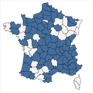 Répartition de Hemerocallis fulva (L.) L. en France