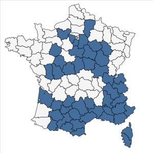 Répartition de Carex halleriana Asso subsp. halleriana en France