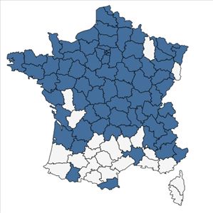 Répartition de Heracleum mantegazzianum Sommier & Levier en France