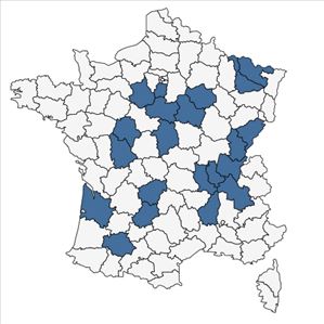 Répartition de Festuca marginata subsp. gallica (Hack. ex Charrel) Breistr. en France