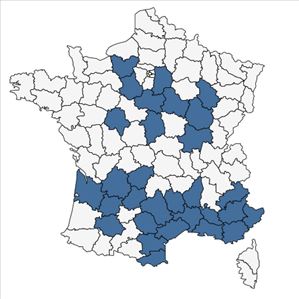 Répartition de Koeleria vallesiana (Honck.) Gaudin subsp. vallesiana en France