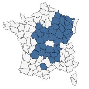 Répartition de Hieracium argillaceum Jord. en France