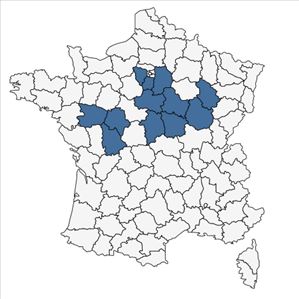 Répartition de Nigella arvensis L. subsp. arvensis en France