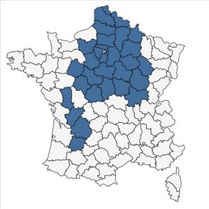 Répartition de Loncomelos pyrenaicus (L.) Hrouda subsp. pyrenaicus en France