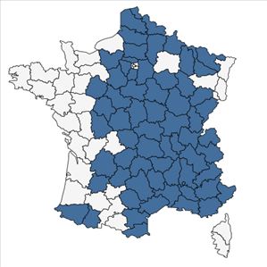 Répartition de Hieracium glaucinum Jord. en France