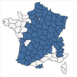 Répartition de Hieracium laevigatum Willd. en France