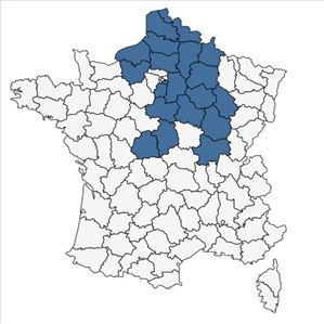 Répartition de Jacobaea paludosa subsp. angustifolia (Holub) B.Nord. & Greuter en France