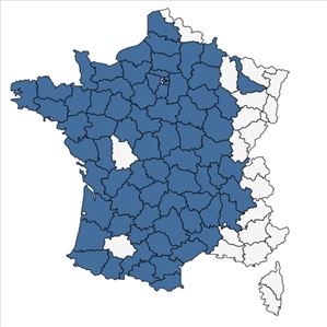 Répartition de Thymus drucei Ronniger en France
