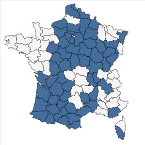 Répartition de Hieracium sabaudum L. en France