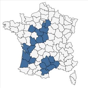 Répartition de Cistus umbellatus L. subsp. umbellatus en France