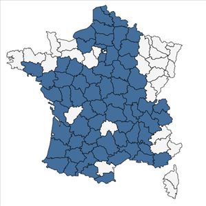 Répartition de Amaranthus blitum subsp. emarginatus (Salzm. ex Uline & W.L.Bray) Carretero, Muñoz Garm. & Pedrol en France
