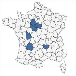 Répartition de Ophrys apifera var. flavescens Rosbach en France