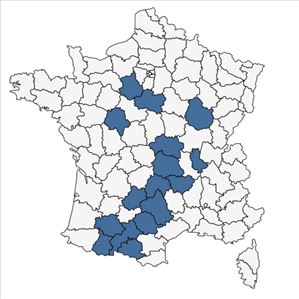 Répartition de Ophrys apifera Huds. var. apifera en France