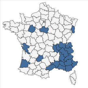 Répartition de Honorius nutans (Sm.) Gray en France