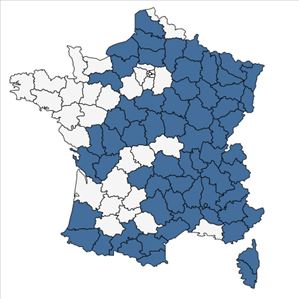 Répartition de Hordelymus europaeus (L.) Harz en France