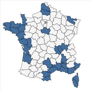 Répartition de Hordeum marinum Huds. en France