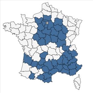 Répartition de Coronilla minima L. subsp. minima en France