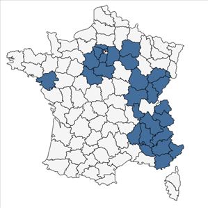 Répartition de Euphorbia esula subsp. saratoi (Ardoino) P.Fourn. en France