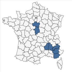 Répartition de Genista pilosa subsp. jordanii (Rouy) Braun-Blanq. en France