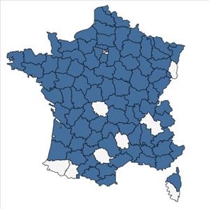 Répartition de Hordeum secalinum Schreb. en France