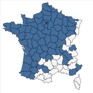 Répartition de Hyacinthoides non-scripta (L.) Chouard ex Rothm. en France