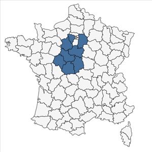 Répartition de Stachys recta L. subsp. recta var. recta en France