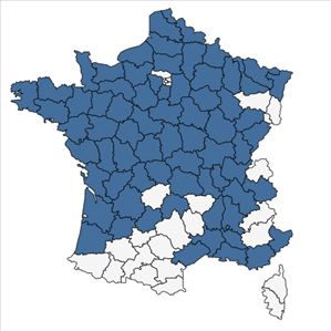 Répartition de Hydrocharis morsus-ranae L. en France