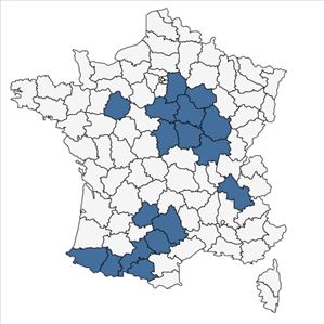 Répartition de Thalictrum minus L. subsp. minus en France