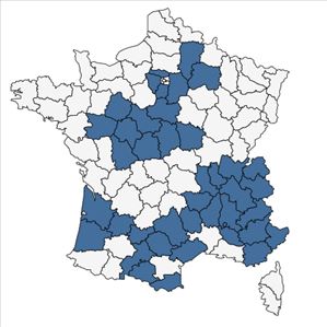 Répartition de Artemisia campestris L. subsp. campestris en France