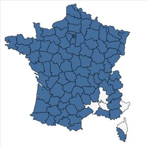 Répartition de Hylotelephium telephium (L.) H.Ohba en France